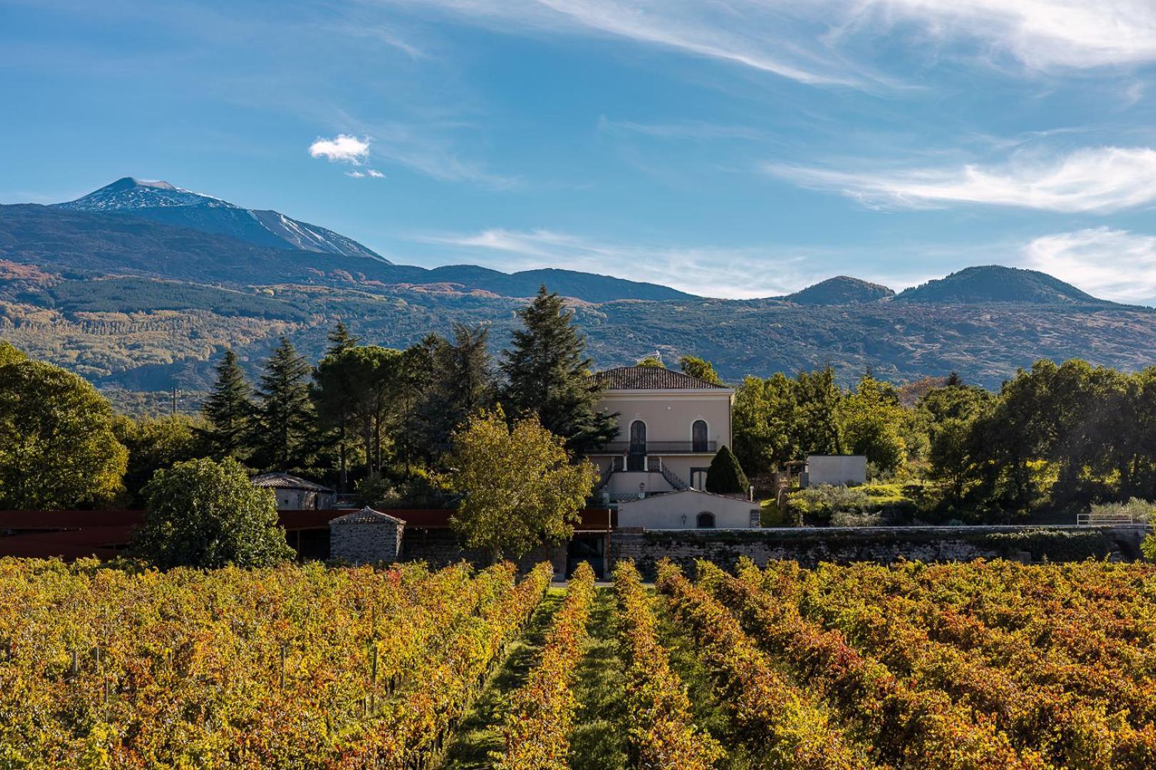 Campore Etna Wines And Resort Randazzo Dış mekan fotoğraf